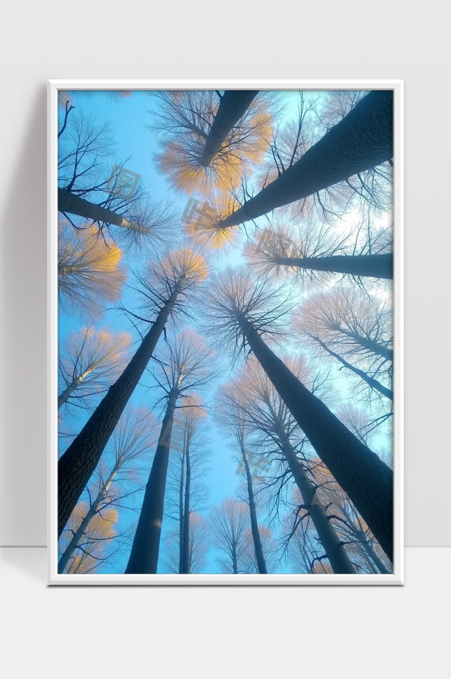 俯瞰秋天森林的美景