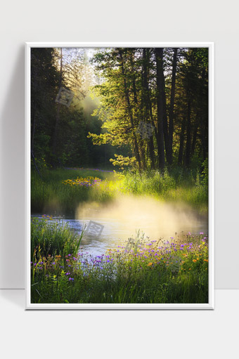 清晨森林溪流的宁静光影与花草交织美景