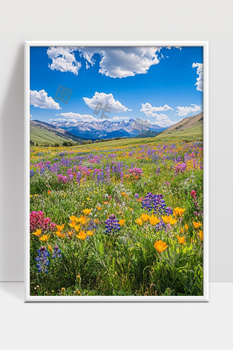 高山花海多彩野花绽放春天风光美景