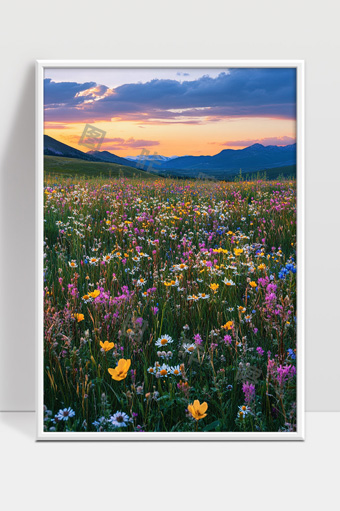 美丽山谷中绽放的多彩野花与夕阳景色