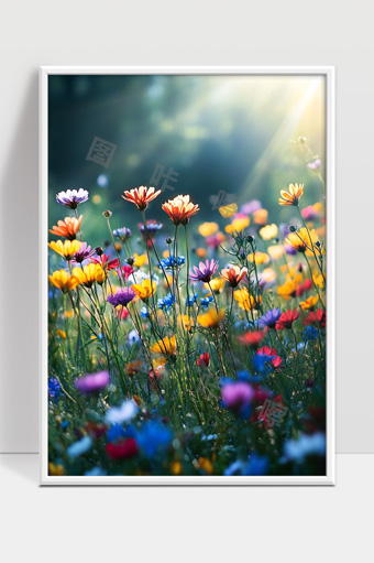 阳光下绽放的五彩斑斓野花田园风光