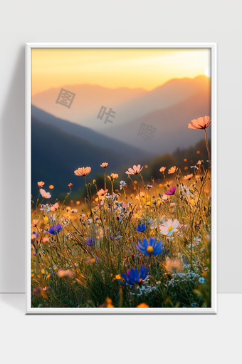 夕阳照耀下的山谷野花绽放美丽景色