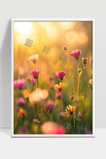 温暖阳光下盛开的野花田间春日美景