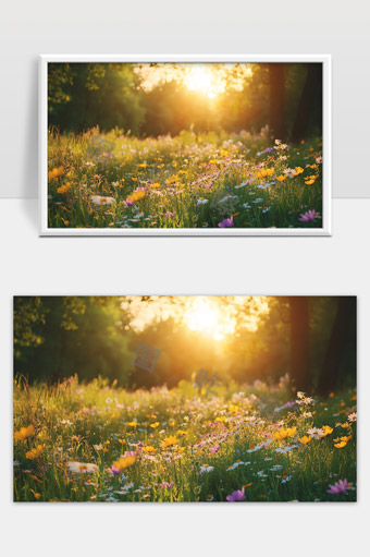 阳光下绽放的野花草地和自然美景