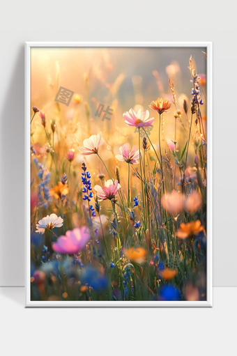 阳光下盛开的多彩野花美丽春天田野风景