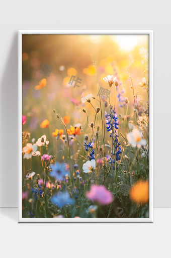 阳光下绽放的多彩野花美丽自然风光