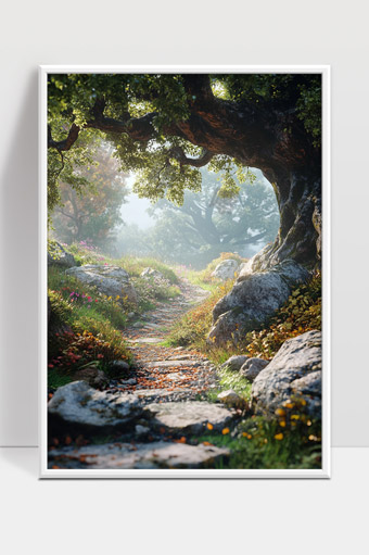 阳光森林小径静谧古树与岩石环绕的自然美景