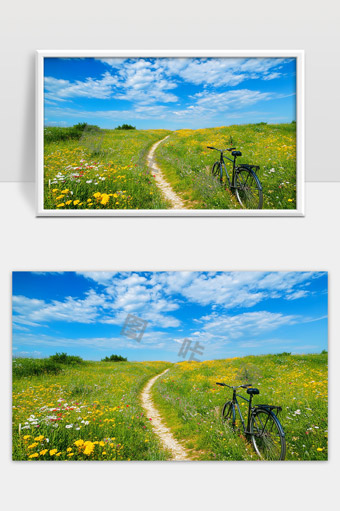 春日田野花海中的单车小径宁静自然风光