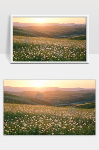 日落时分草原上的野花与连绵起伏的山丘美景