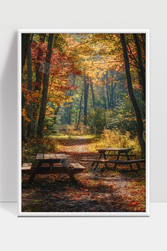 秋日森林落叶小径宁静休闲木质长椅