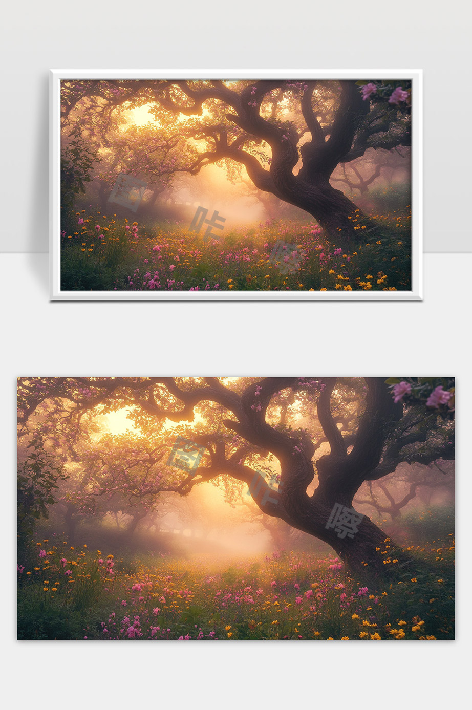 晨曦中的神秘森林花海与古树光影交织