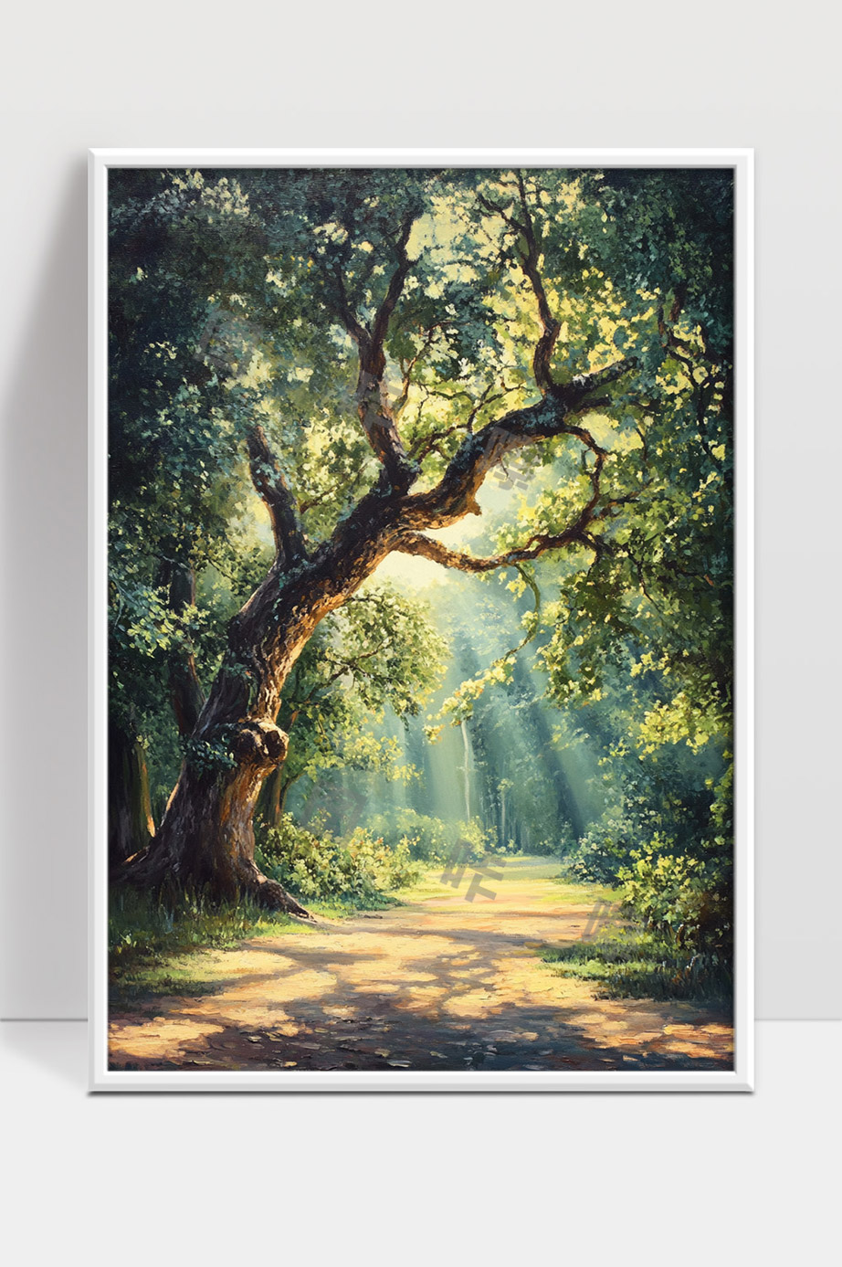 清晨阳光洒落林间古树小径宁静美景