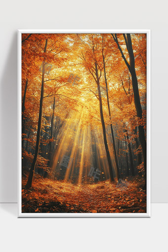 金色秋日森林阳光穿透树叶洒满林间小径