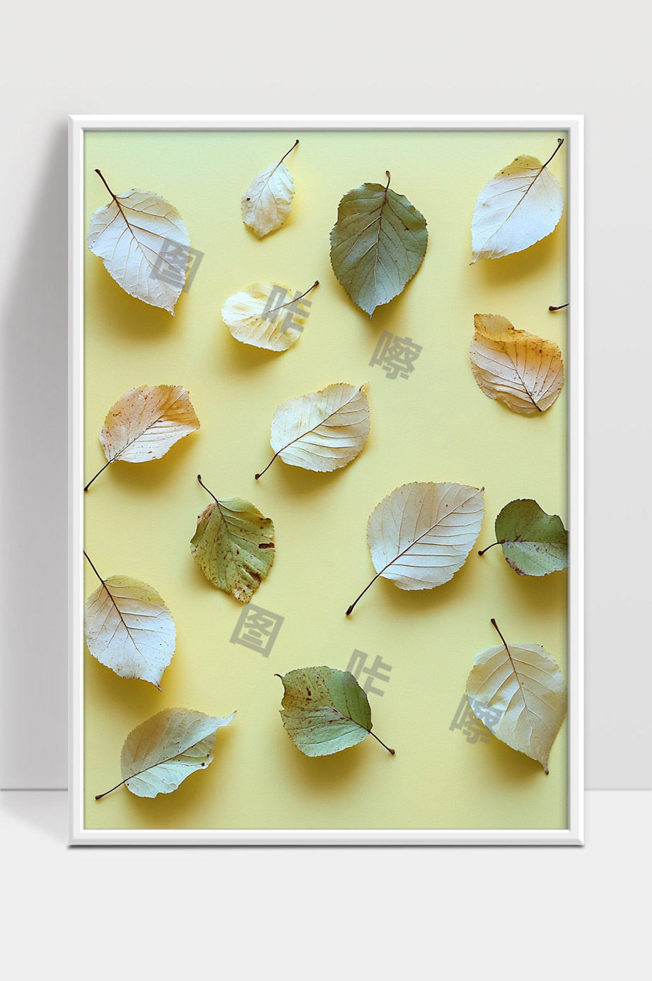 秋天落叶自然干燥树叶多色彩丰富背景清新