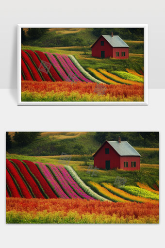 乡村田野五彩花海与木屋美丽自然风光