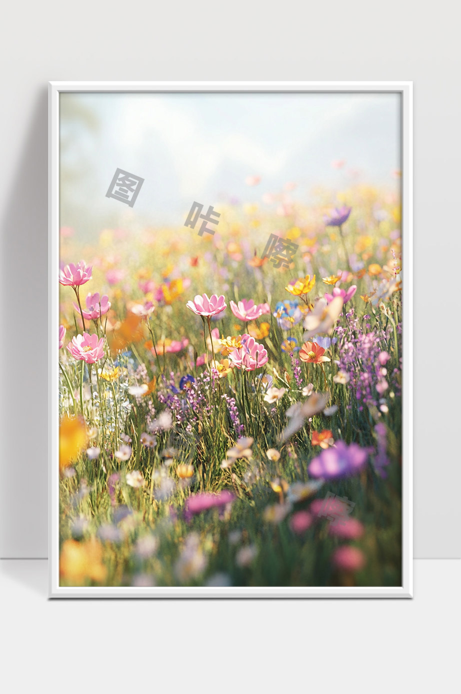 春日清晨多彩野花绽放田野美景