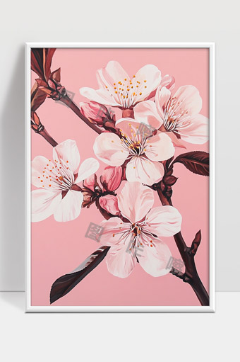 粉色背景下盛开的樱花枝头美丽绽放