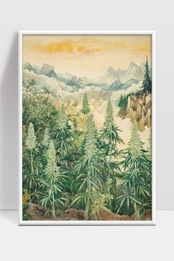 美丽山谷中的浓密大麻植物群落风景画