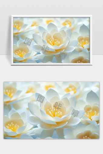 纯白花朵绽放春季清新自然美景静谧唯美画面