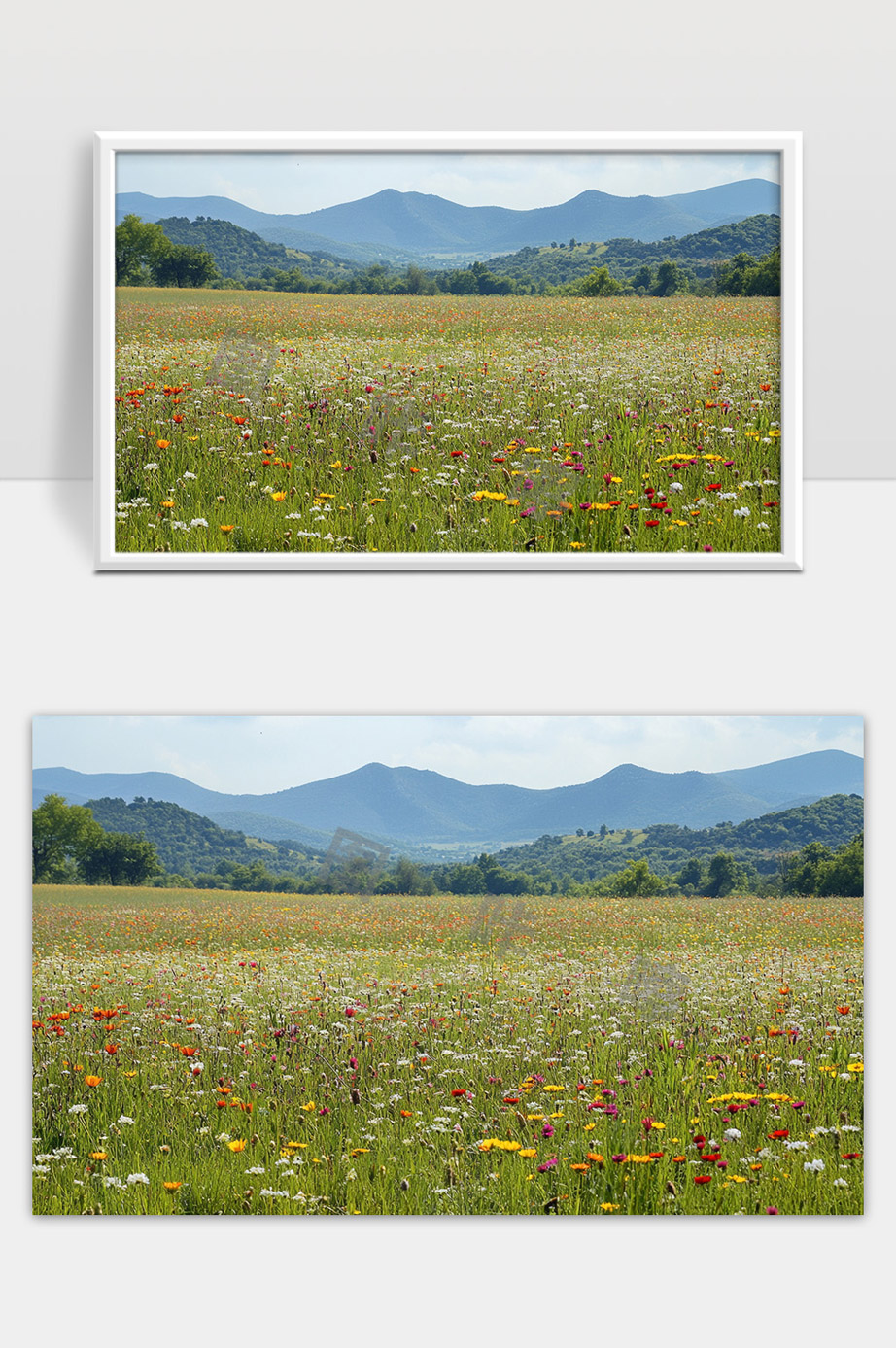 美丽山谷中的野花草原春日自然风光