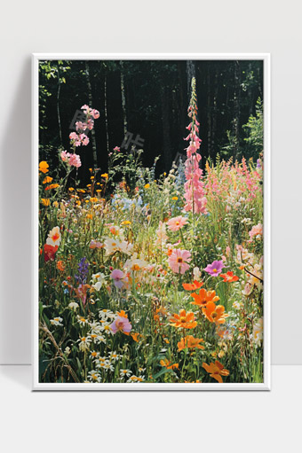 多彩野花盛开点缀阳光森林的美丽景象