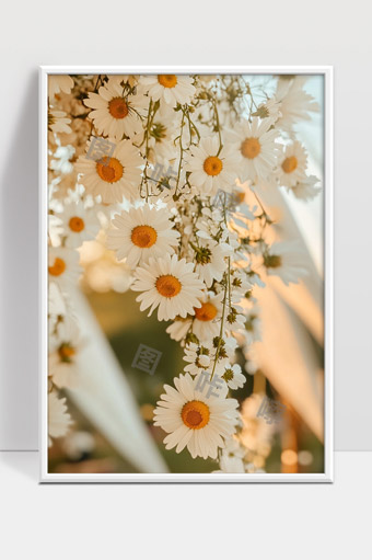 温暖阳光下盛开的白色雏菊花海宁静美丽