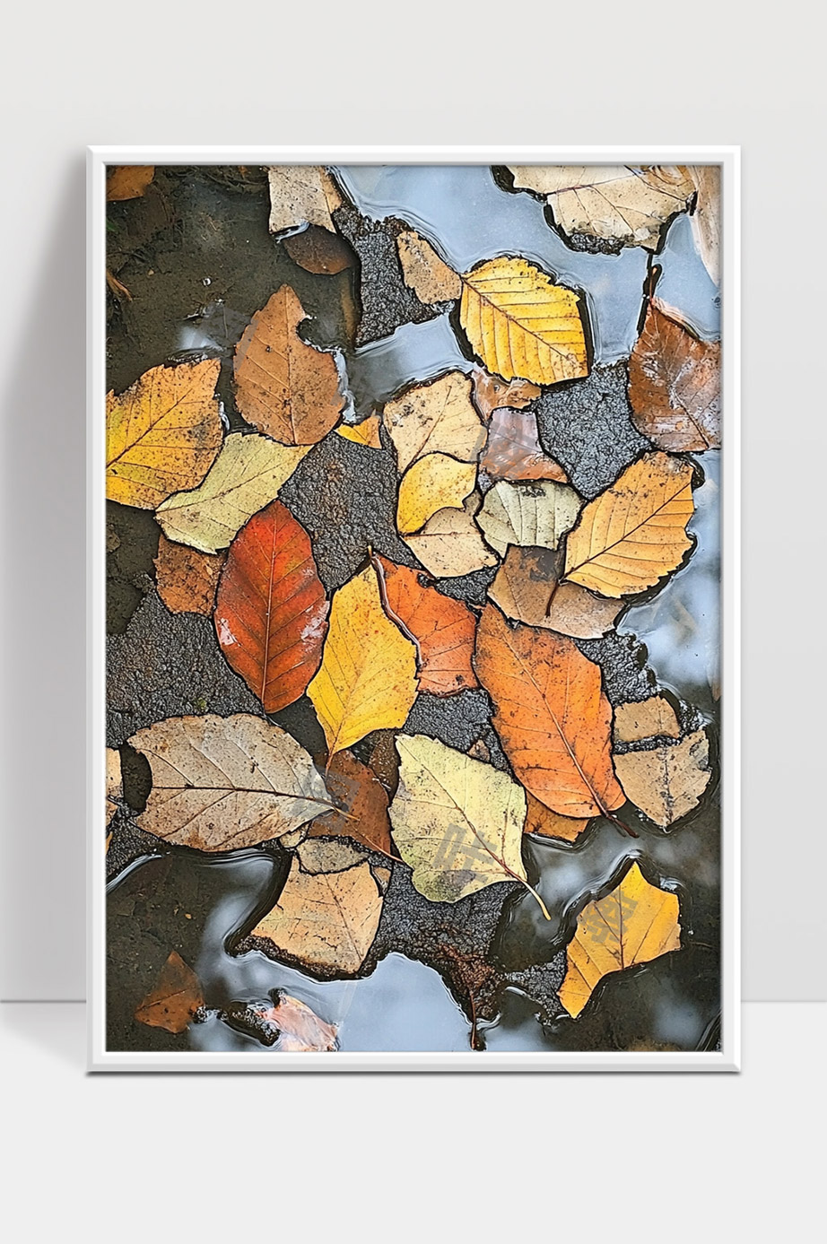 秋天落叶满地湿润的景象