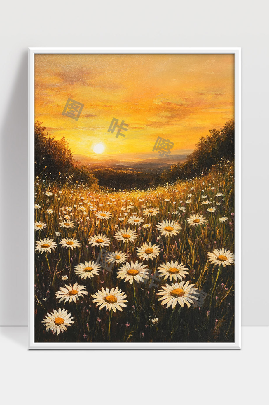 夕阳下盛开的雏菊花海宁静美丽的田野风光