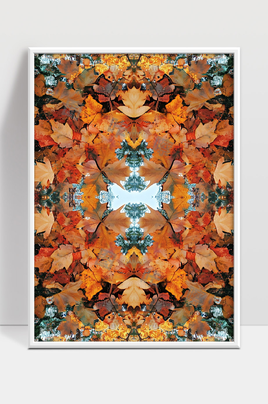 秋天枫叶的对称美丽色彩图案