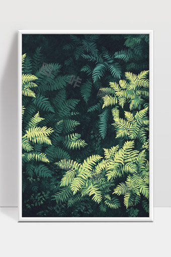 绿色蕨类植物的自然生态与生命之美