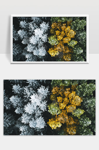 四季更替树木色彩变化自然景观航拍图