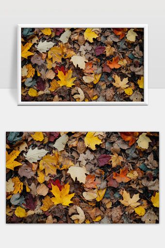 色彩斑斓秋季落叶铺满地面的自然美景