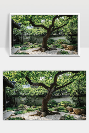 宁静古典中式庭院中的参天古树和青石小径