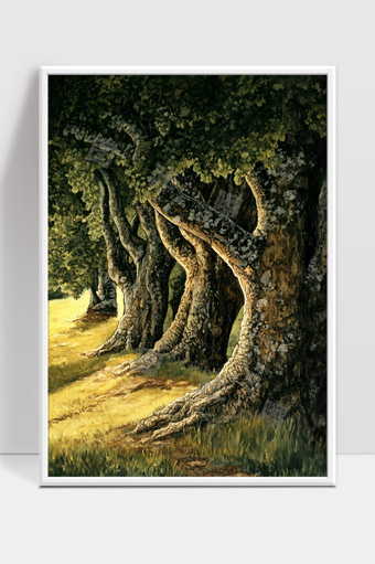 郁郁葱葱参天古树阳光斜照的森林风景画