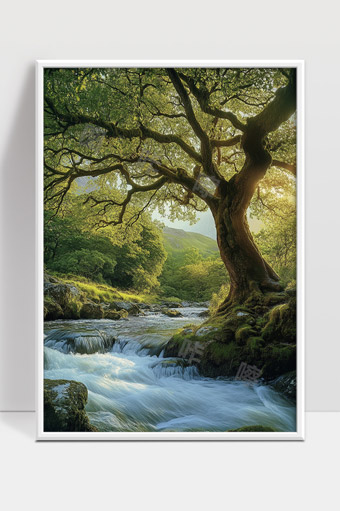 静谧森林中阳光洒落溪流潺潺古树盘根