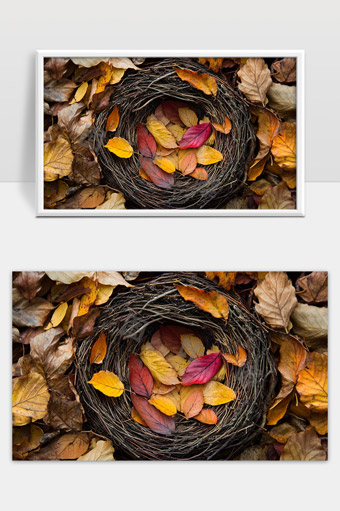 秋天落叶中的鸟巢自然静谧森林景象