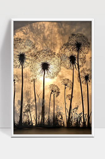 夕阳下唯美蒲公英剪影自然风光景色