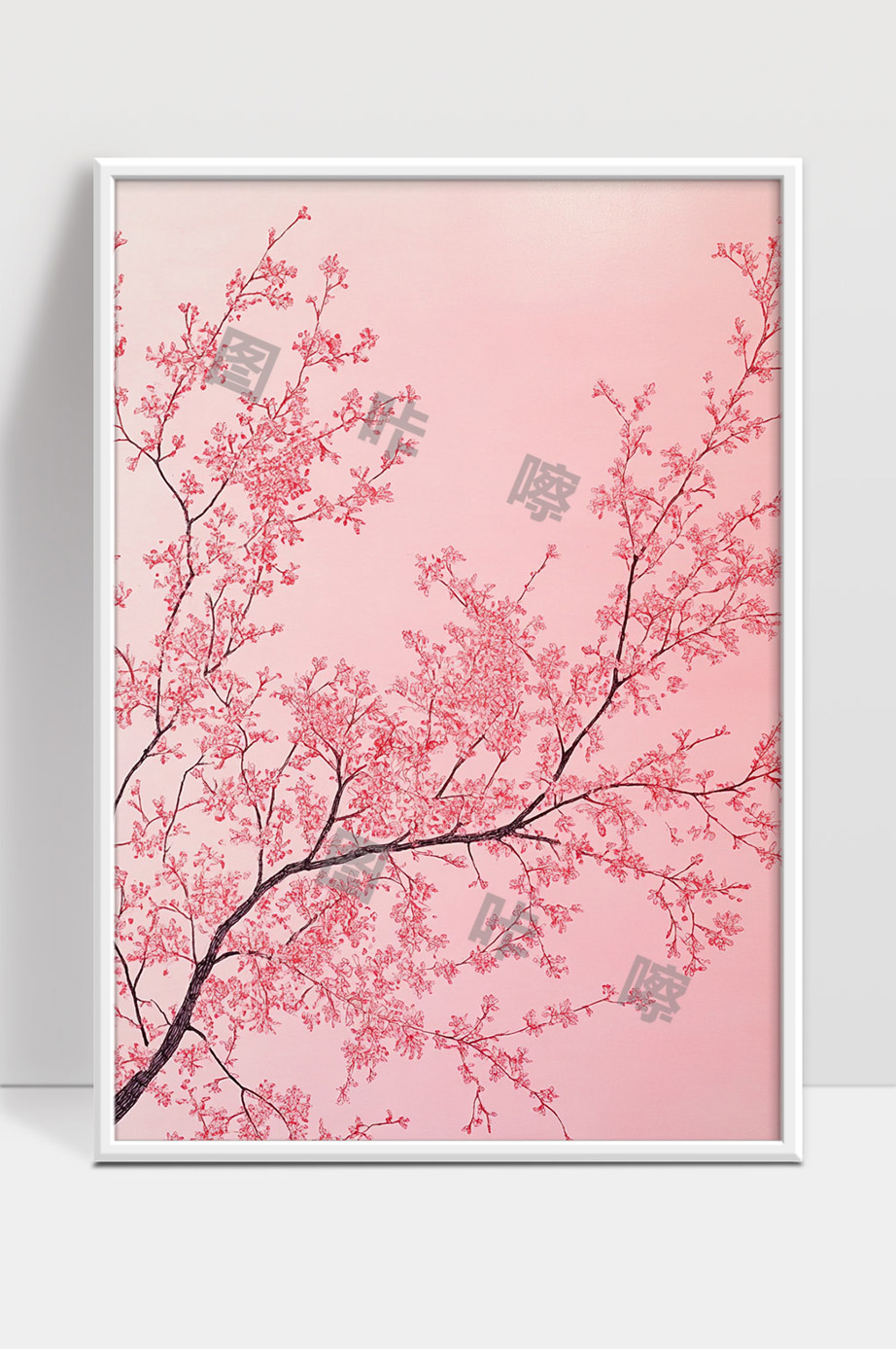 粉红色背景下盛开的樱花树枝美丽春天景色