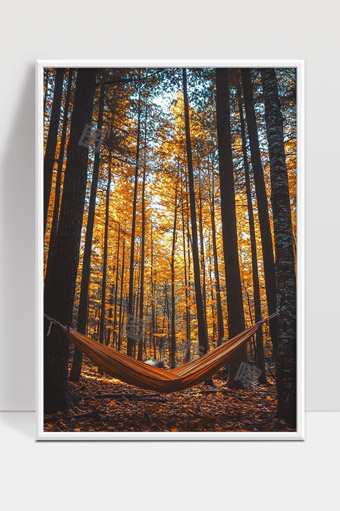 秋日森林中吊床上的静谧时光自然风光写意
