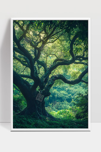 郁郁葱葱古树茂密森林自然风光