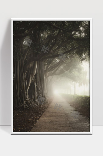 浓雾弥漫中的古树林荫小径静谧幽深自然风光