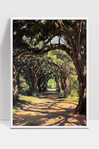 阳光洒落林间古树隧道宁静小径