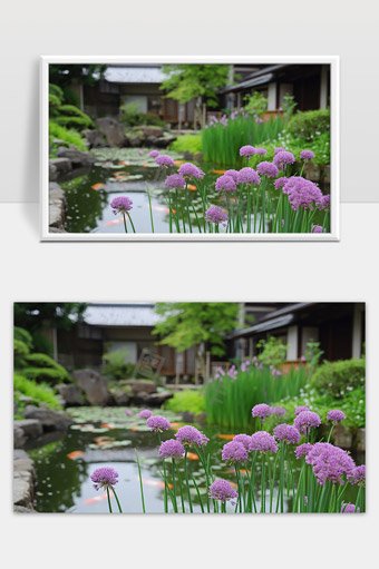 日本传统庭院中盛开的紫色花卉和宁静水池景观