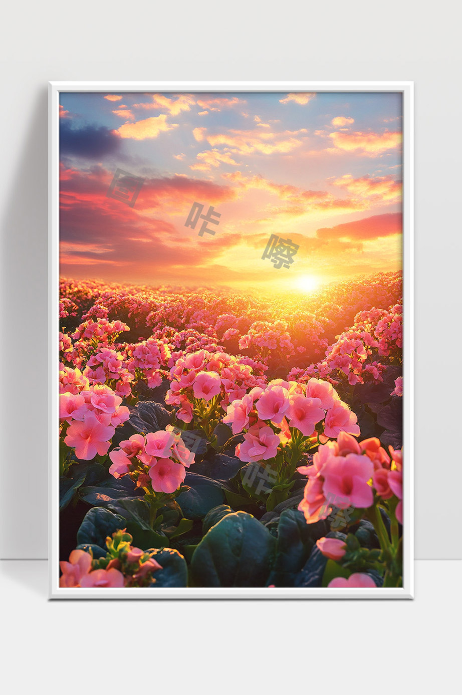 夕阳映照下的绚丽花海美景