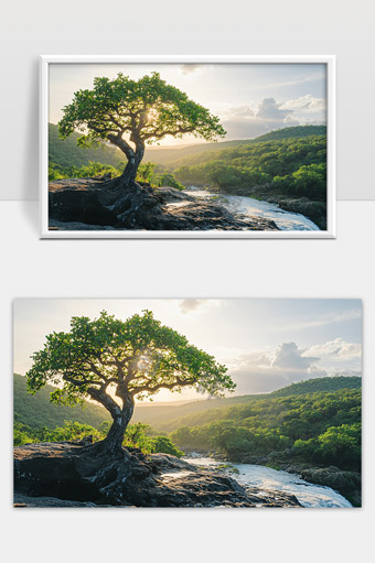 山间夕阳下的古树与清澈溪流自然风光