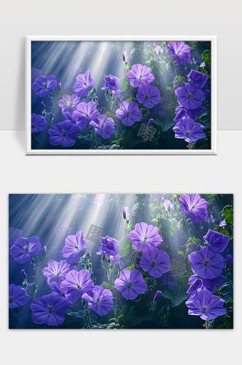 阳光洒落下紫色牵牛花绽放美丽景象