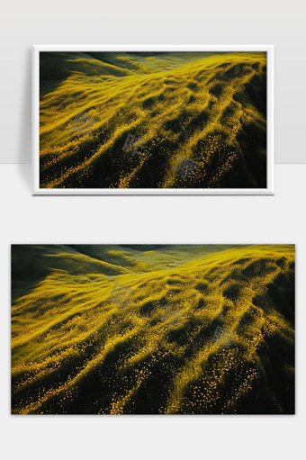 阳光洒落下一片金黄花海波浪起伏壮丽景色