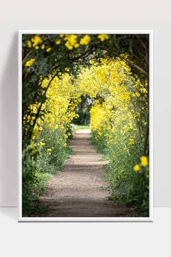 春天花海小路黄花拱门自然风光美景