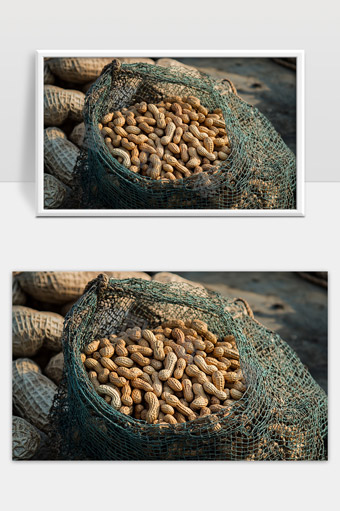 新鲜采摘花生装袋饱满坚果丰收季节