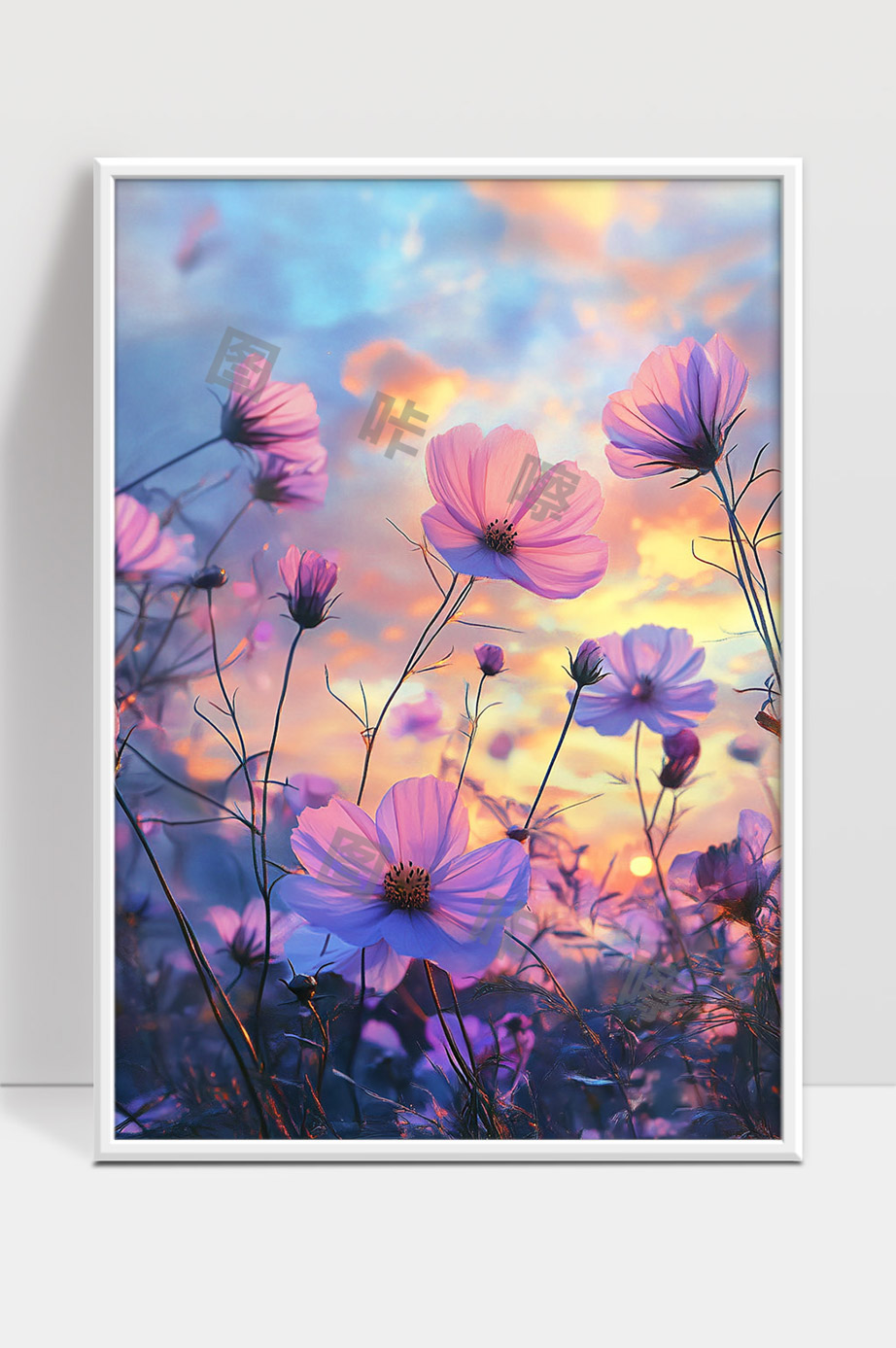 唯美夕阳下绽放的粉色野花田园风光